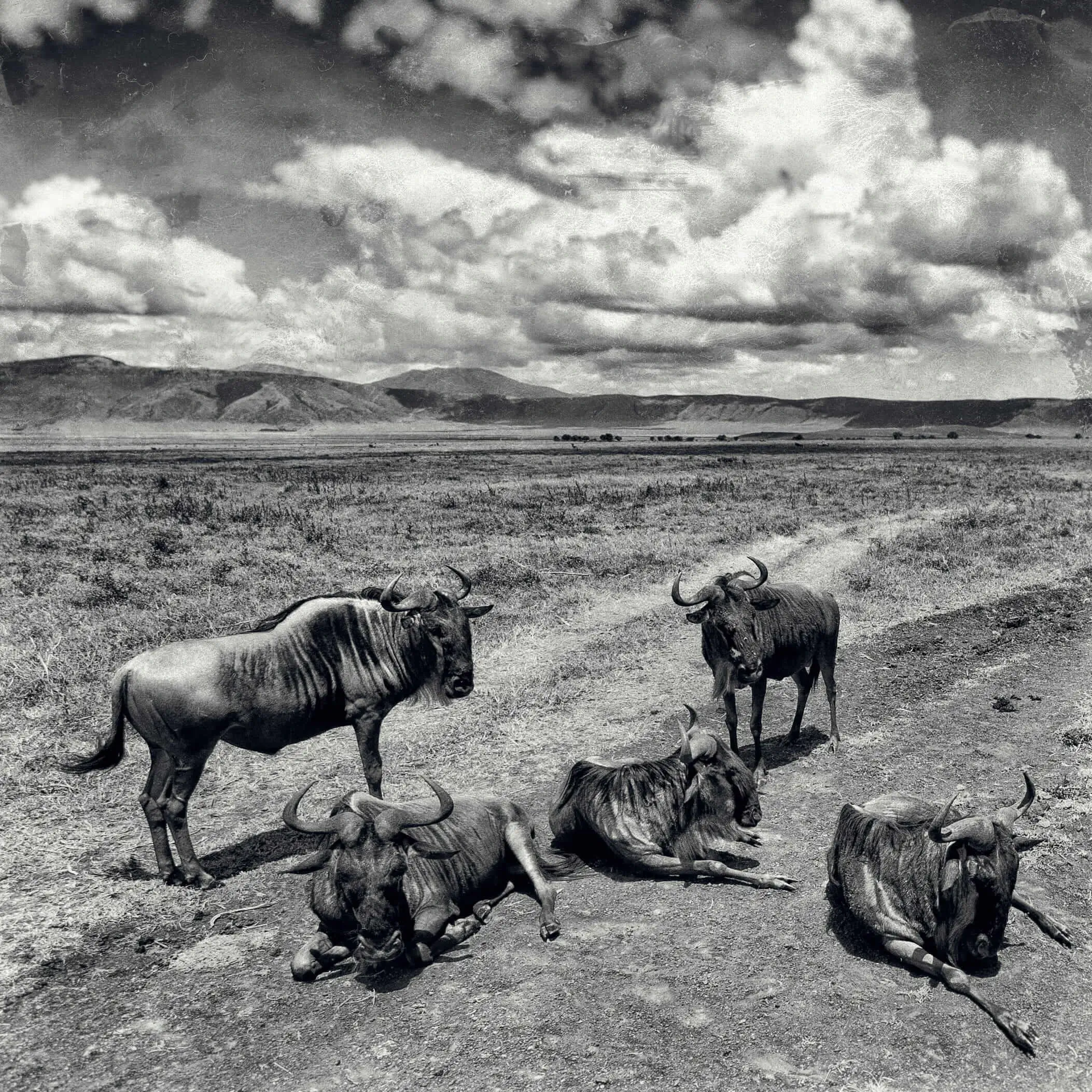 Explore Africa with Ongeri Expeditions19 (1)