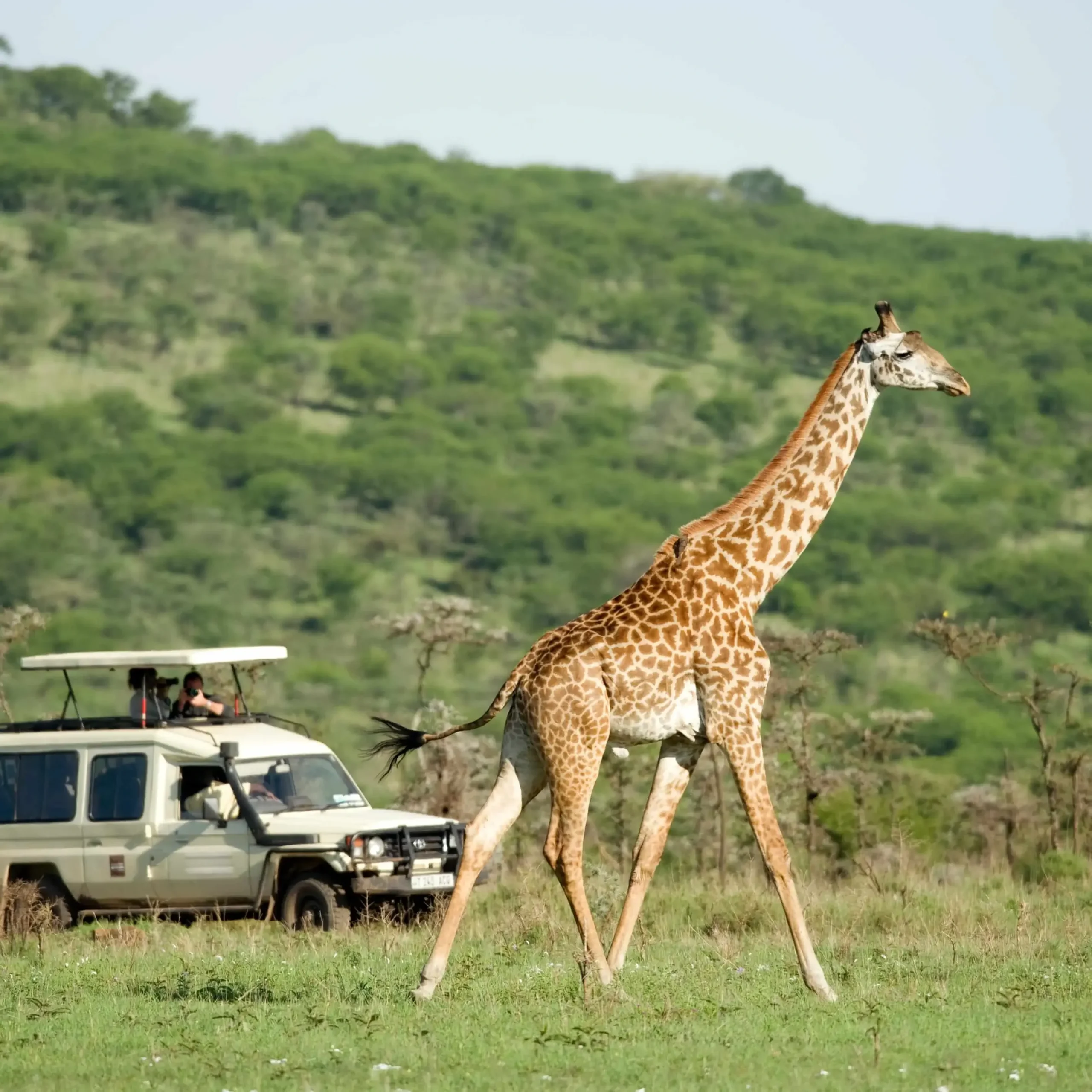 Explore Africa with Ongeri Expeditions20 (1)