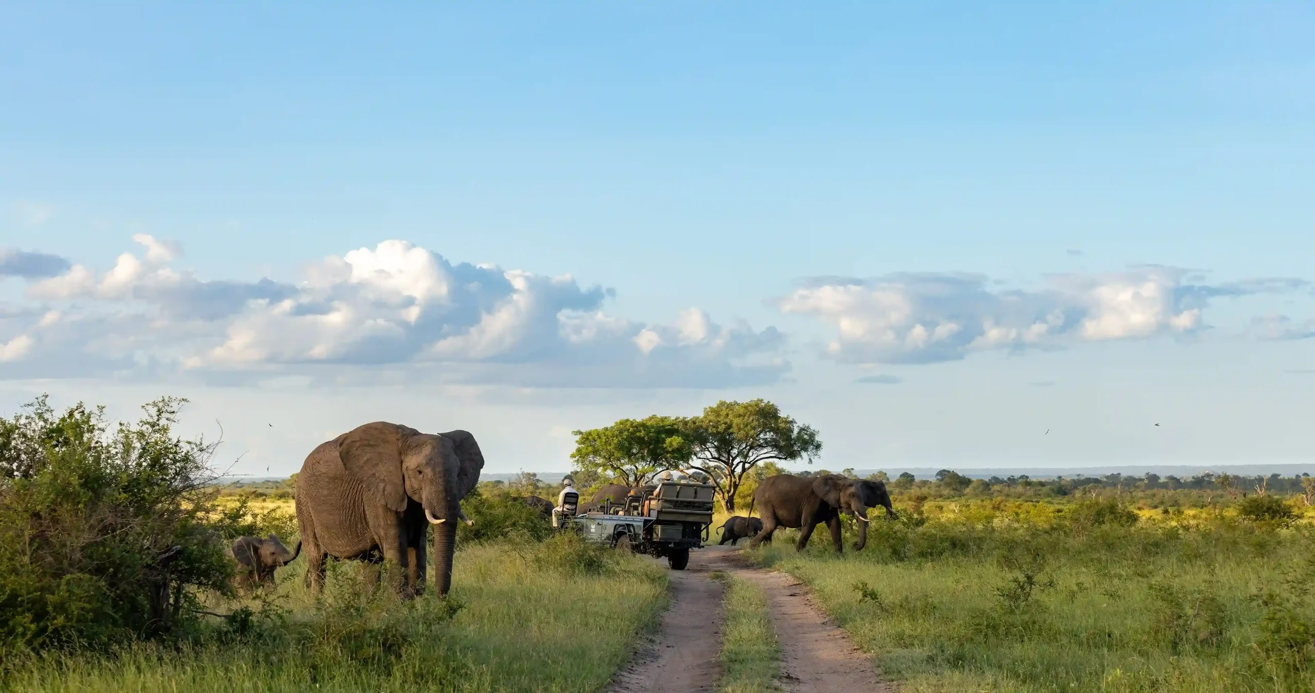 Ongeri Expeditions will support you as you explore the destinations we know and love.3