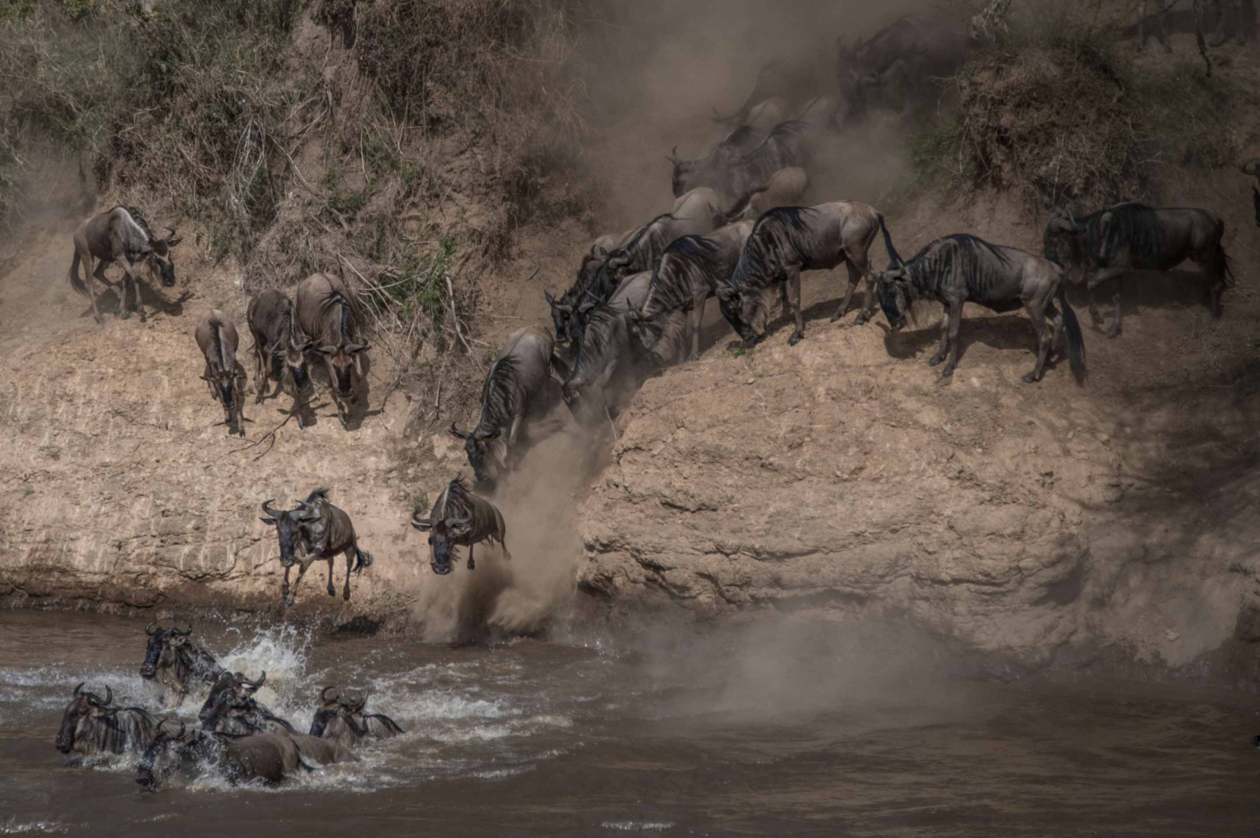 jpeg-optimizer_Trip 9 — The Great Migration (Kenya & Tanzania)4