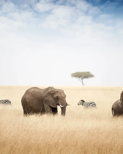 Africa Reimagined. Timeless Memories. Ongeri expeditions Website2