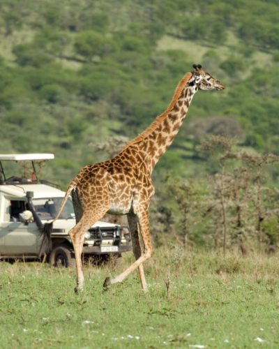 jpeg-optimizer_Trip 2 — The Mara by Road1